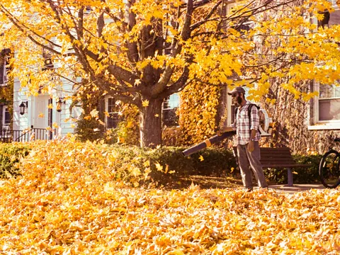 Herbstlaub wird von Wegen und Flächen entfernt