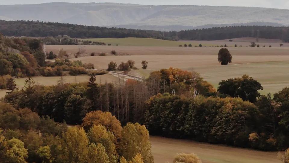 Ländliche Landschaft mit Feldern und Wäldern