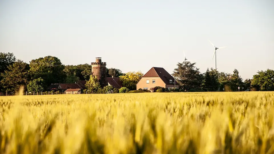 Felder bei Dorsten