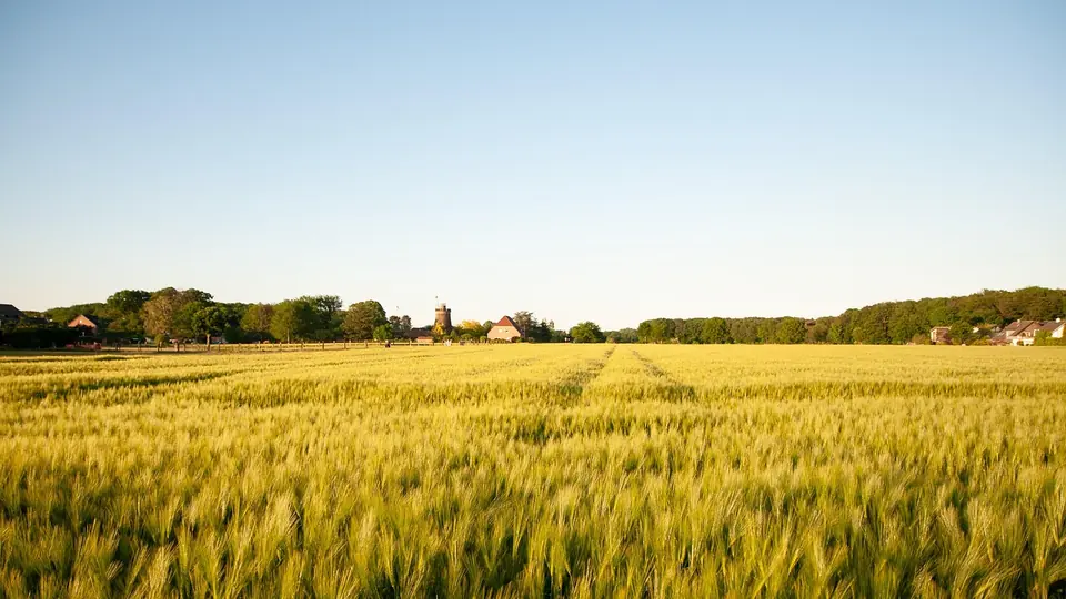 Landschaft bei Dorsten